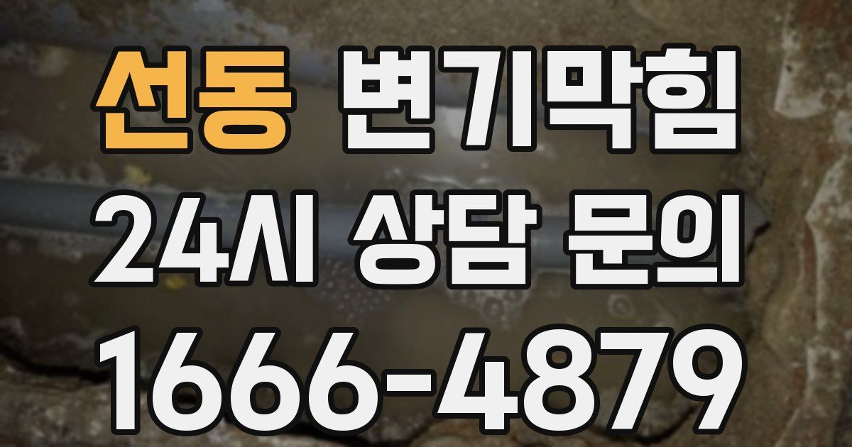 선동 변기