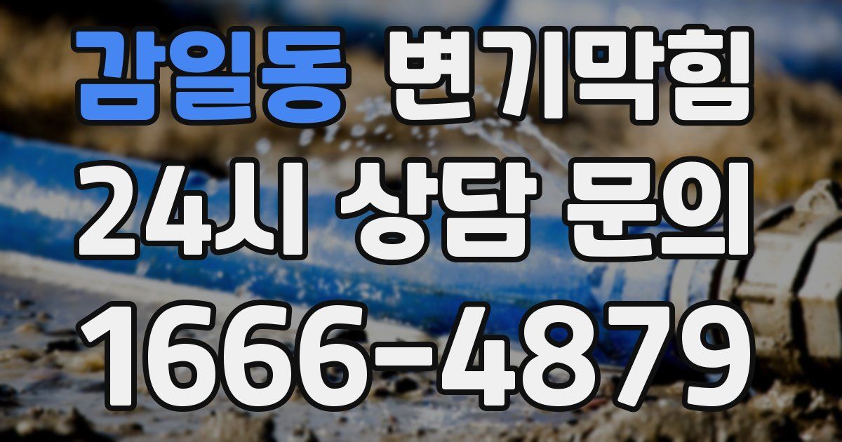 감일동 변기