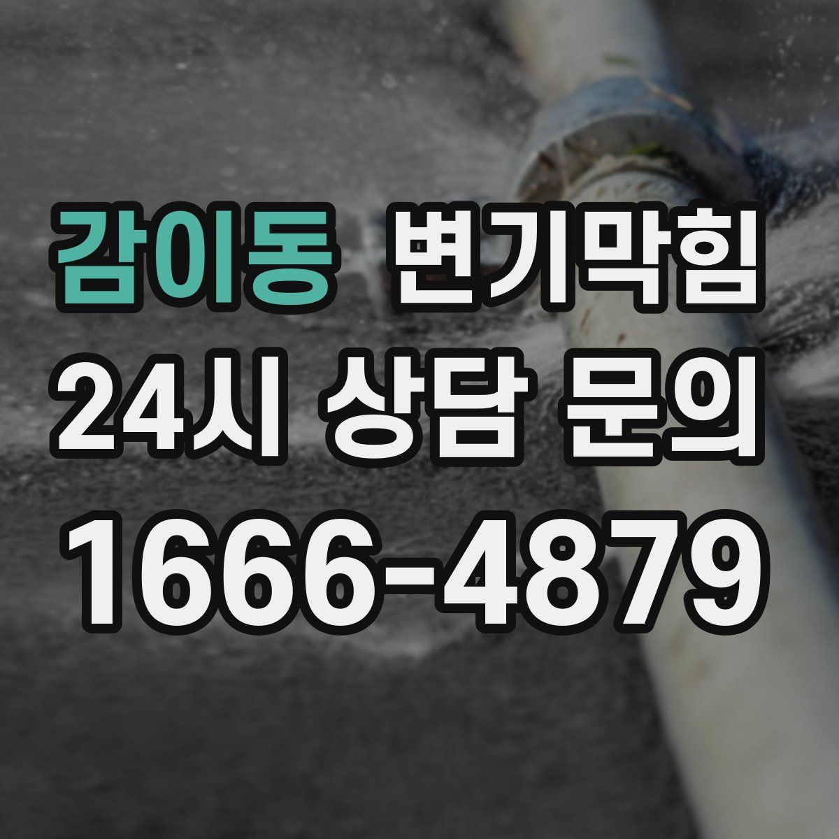 감이동 변기막힘