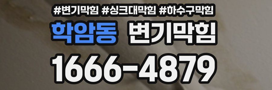 변기막힘