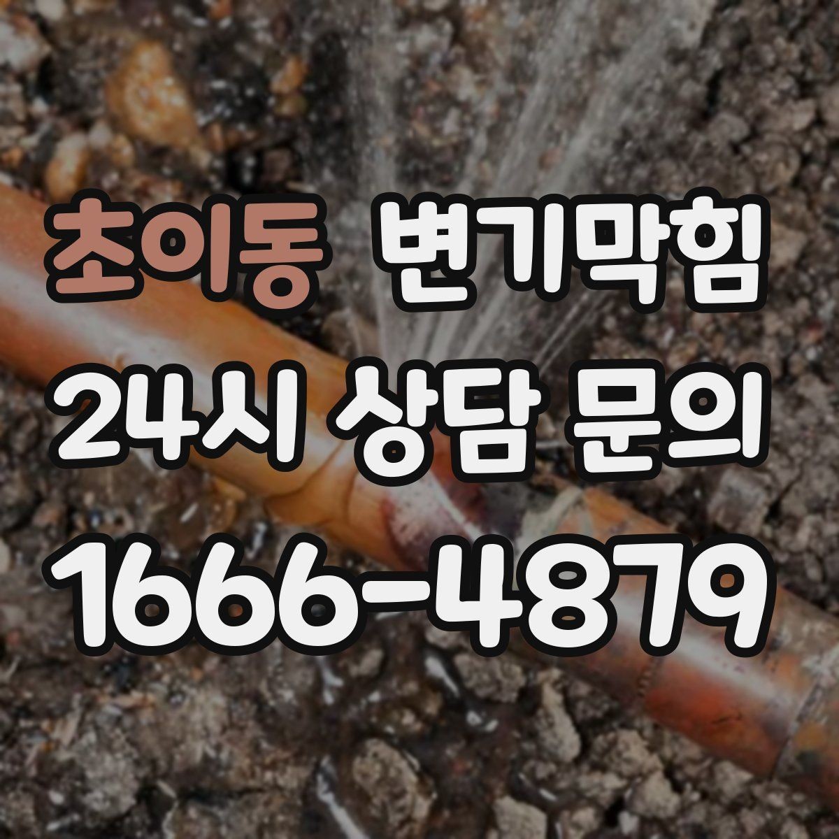 초이동 변기막힘 변기막혔을때 곰팡이 냄새 동반 시