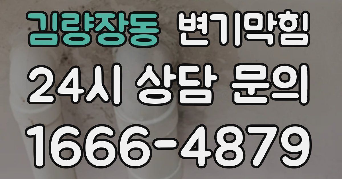 김량장동 변기