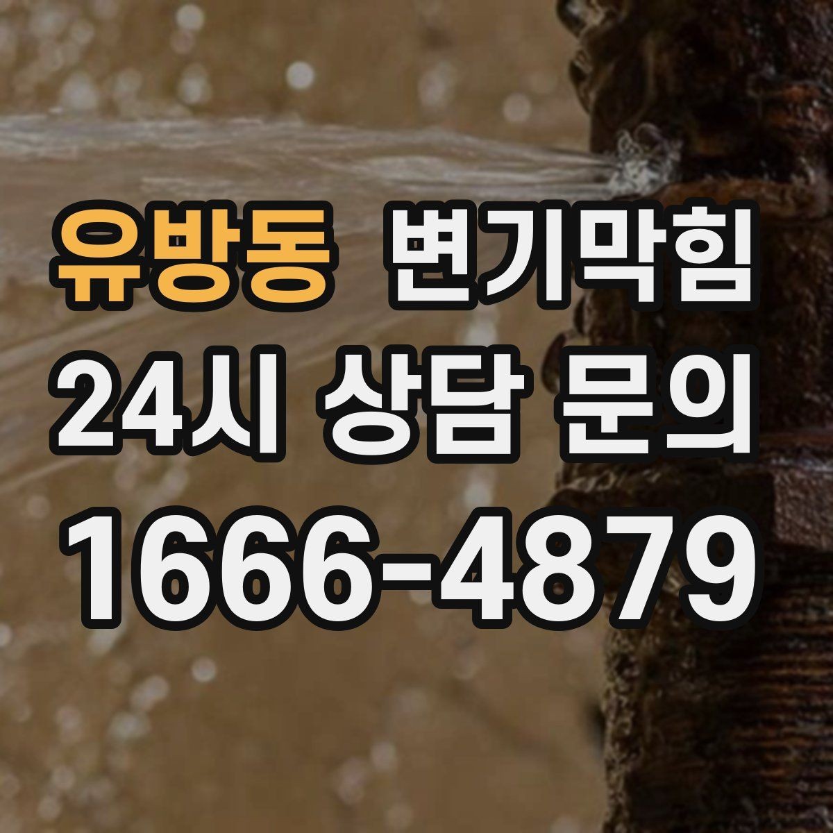 유방동 변기막힘 빌라 배수구막힘 반복 구간 도면화