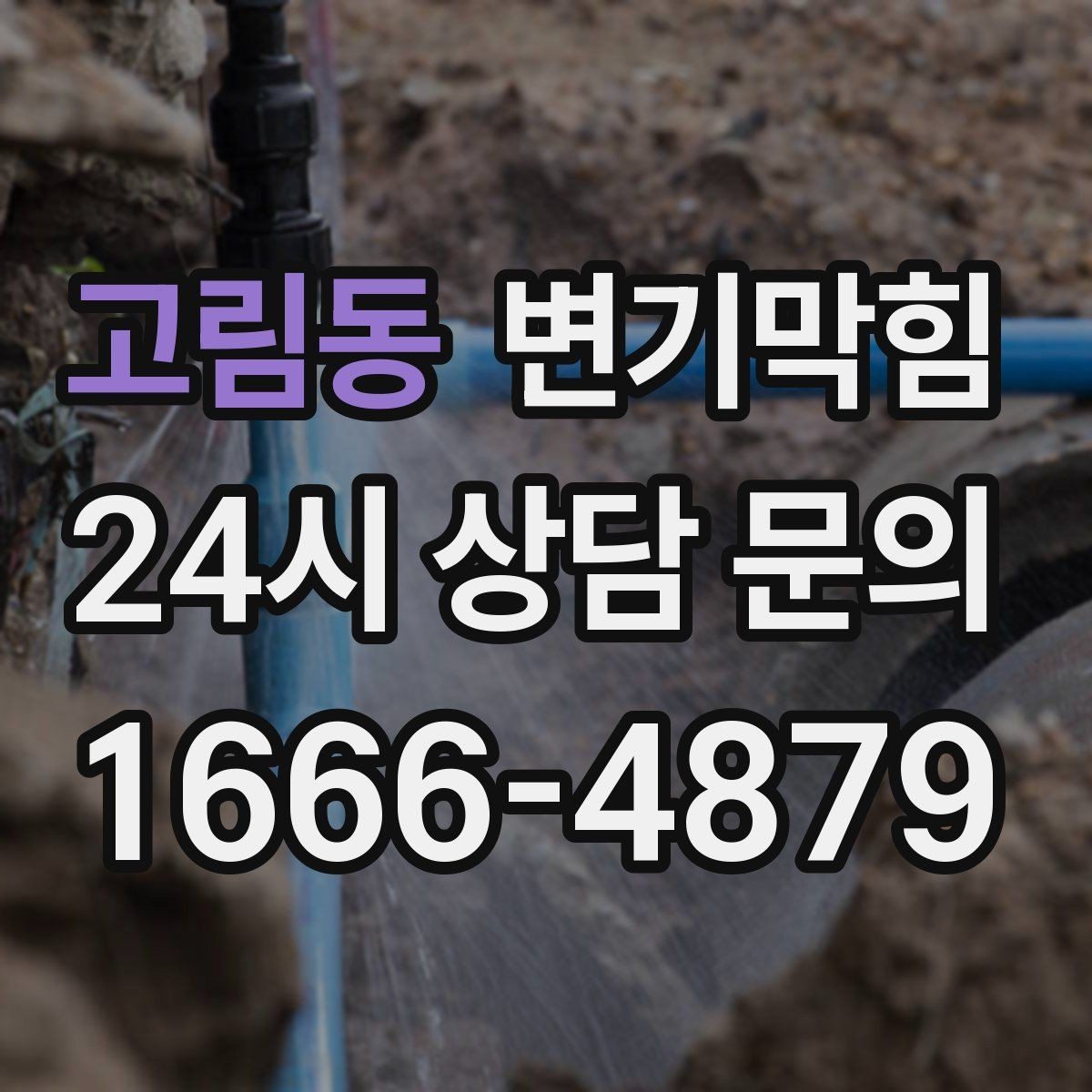 고림동 변기막힘 단독 내시경으로 이물 즉시 회수
