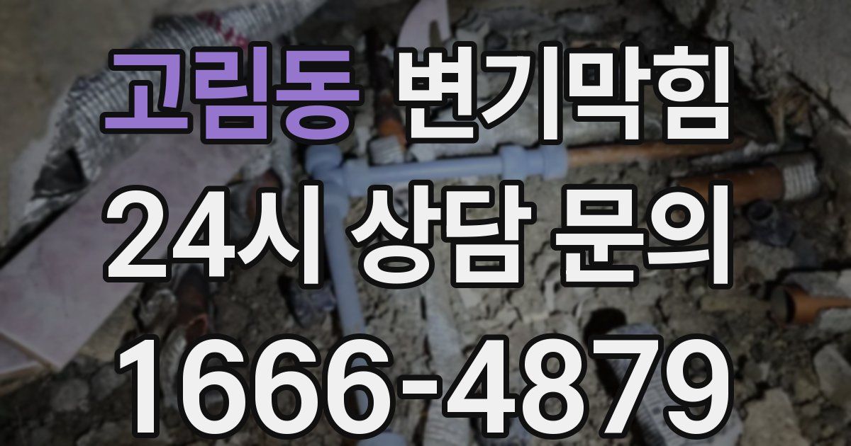 고림동 변기
