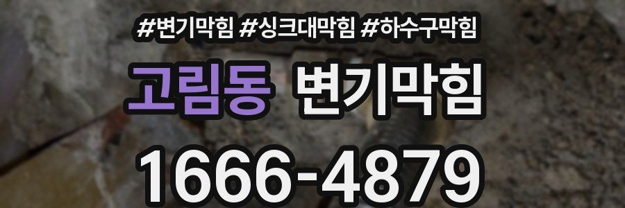 변기막힘
