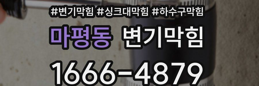 변기막힘