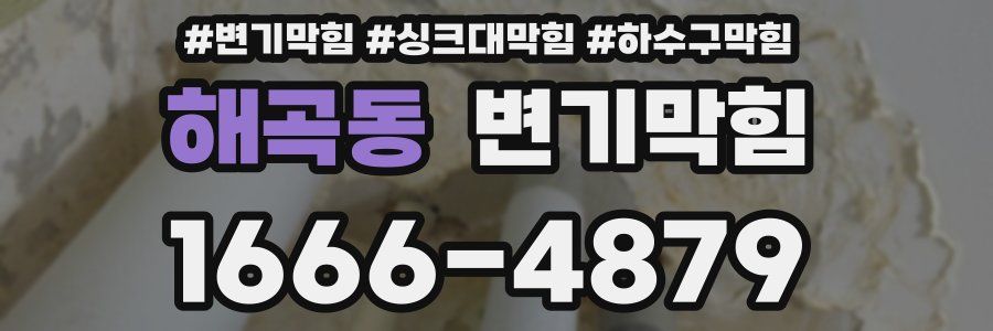 변기막힘