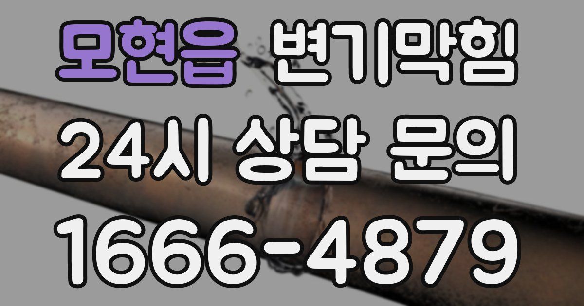 모현읍 변기