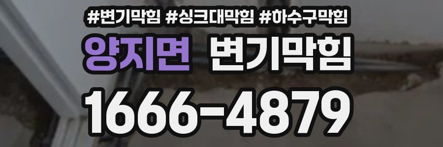 변기막힘