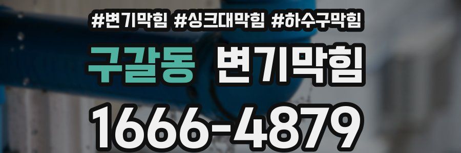 변기막힘