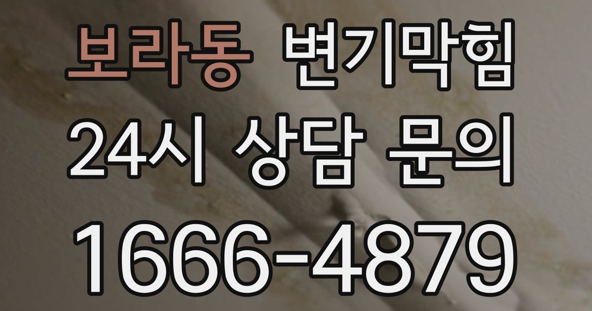 보라동 변기