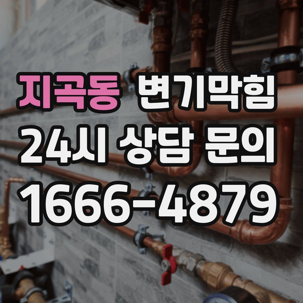 지곡동 변기막힘 아파트 화장실역류 층간 민원 해소