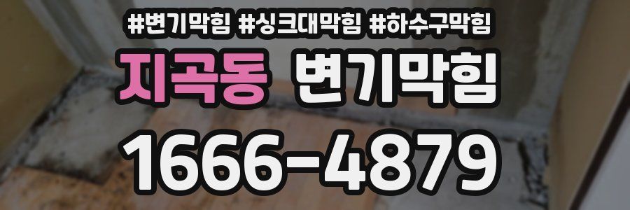 변기막힘