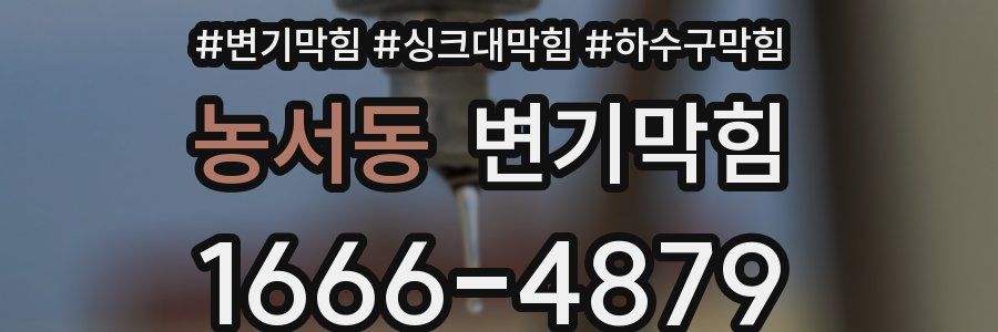변기막힘