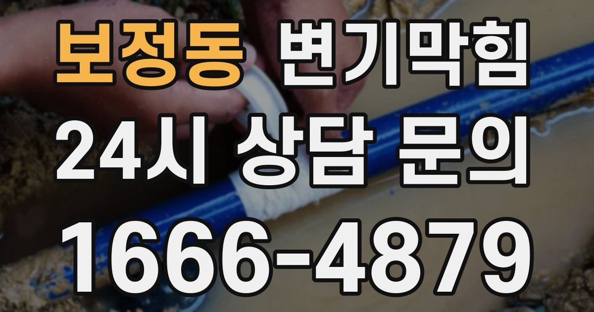 보정동 변기