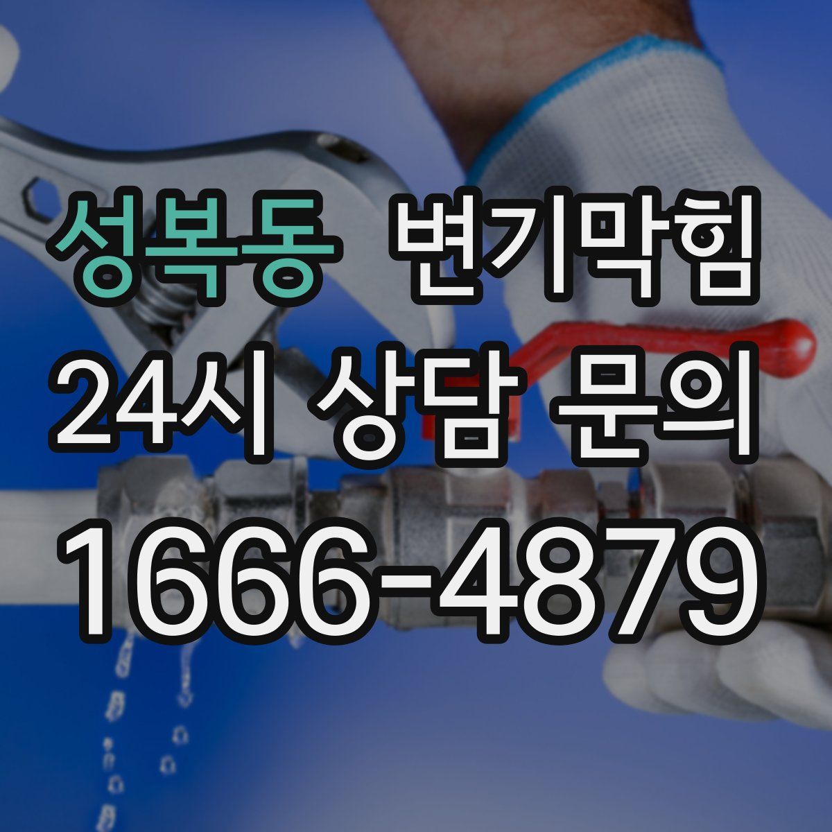 성복동 변기막힘