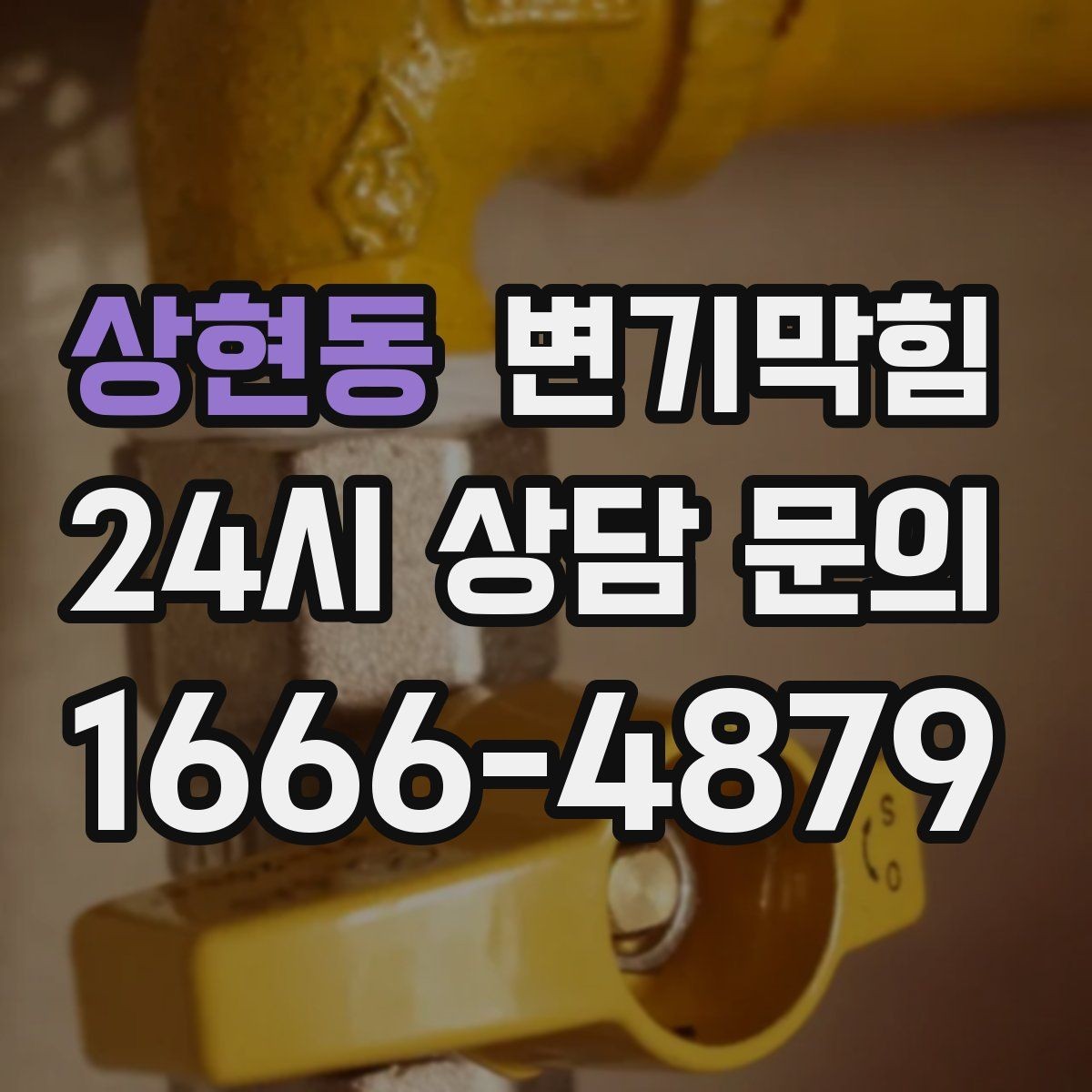상현동 변기막힘 화장실 변기 막힘 내시경 진단이 필요한 때