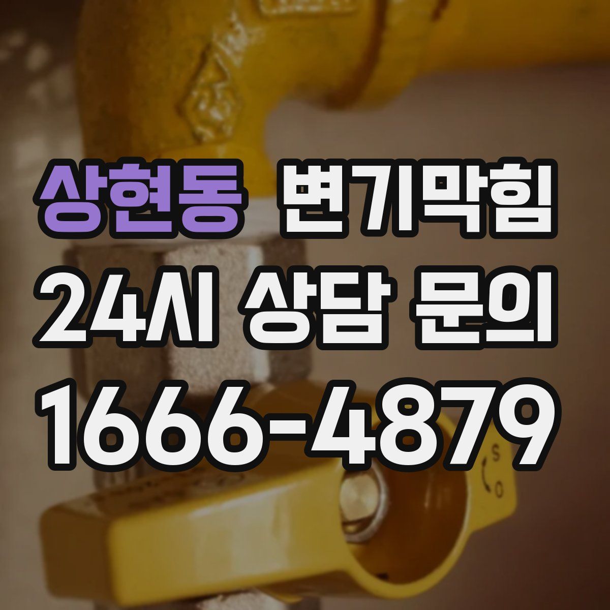 상현동 변기막힘