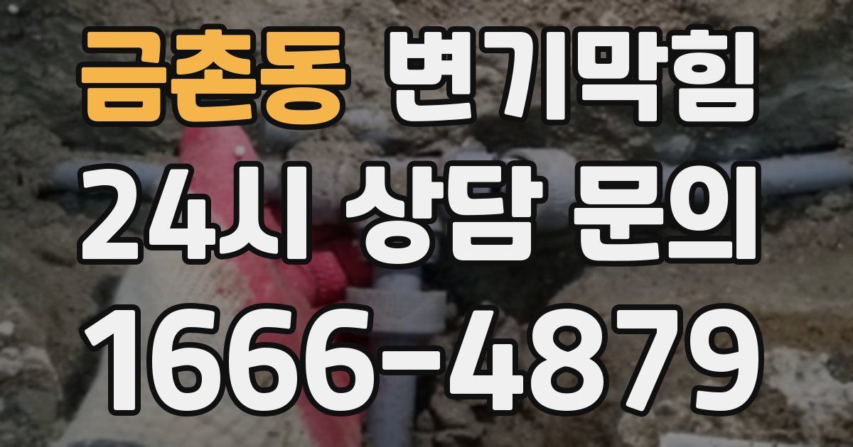 금촌동 변기