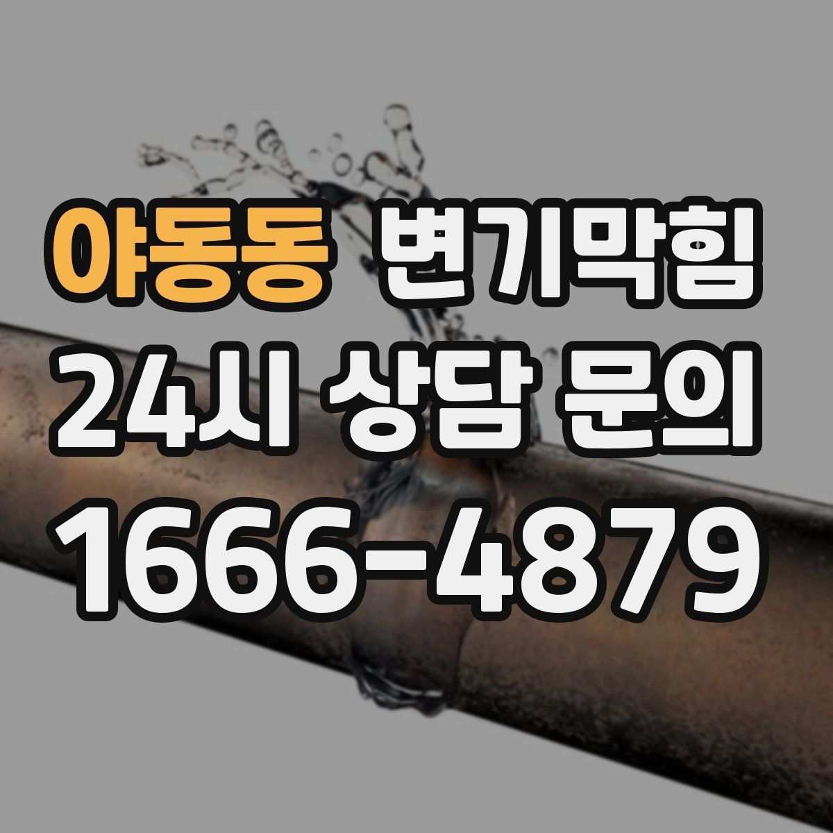 야동동 변기막힘