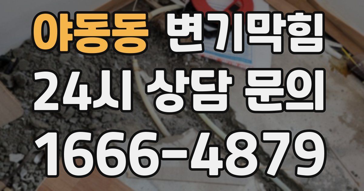 야동동 변기
