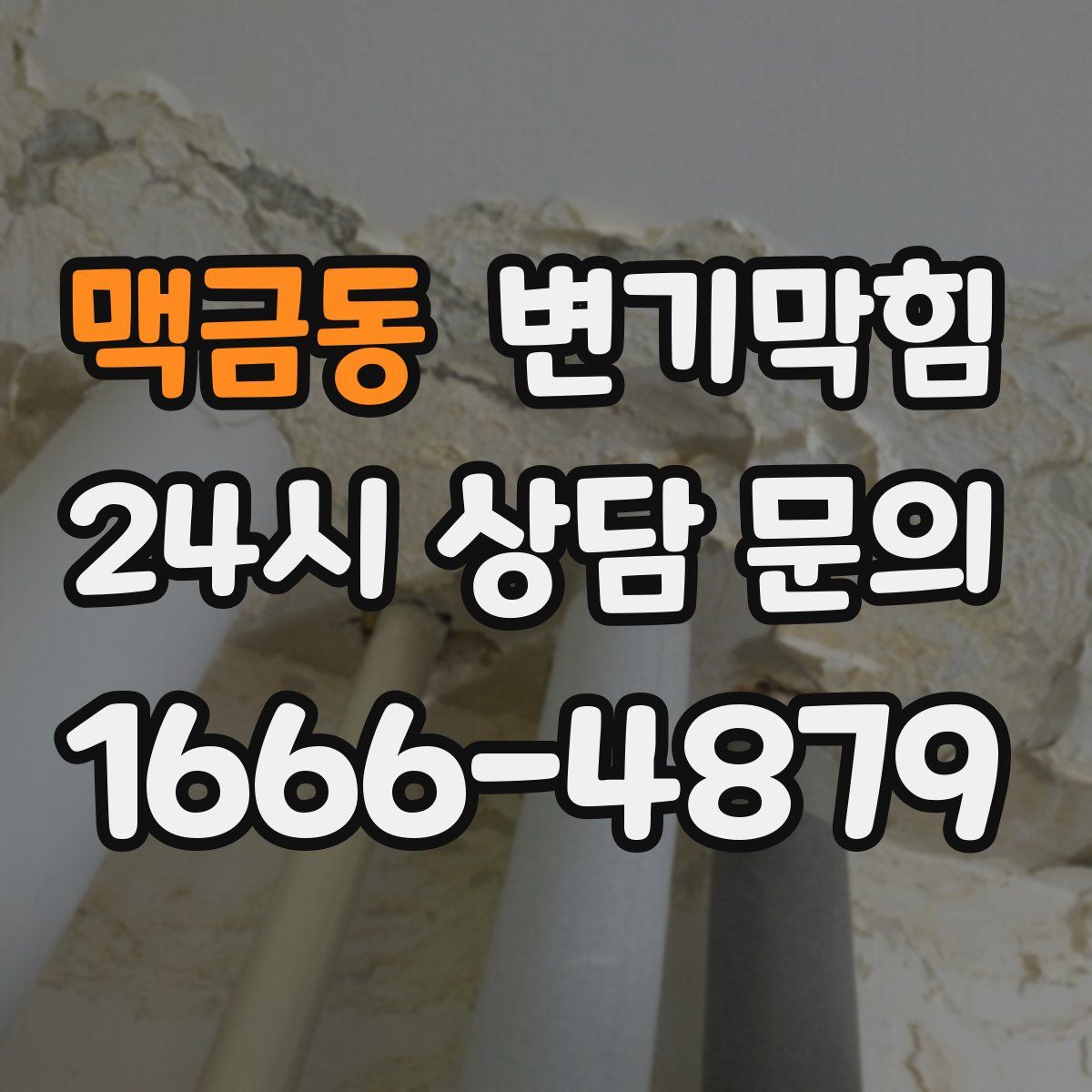 맥금동 변기막힘