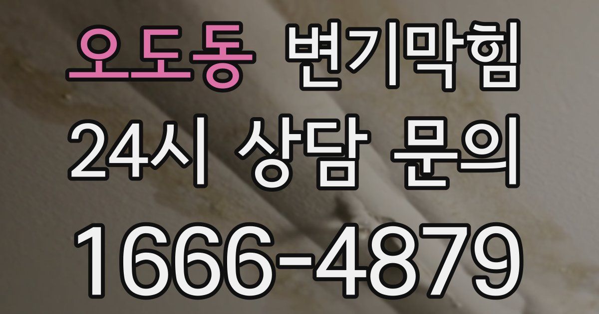 오도동 변기