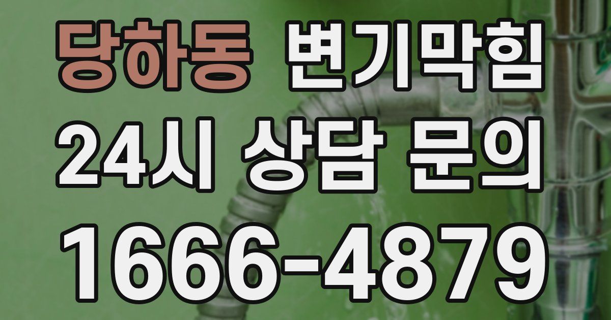 당하동 변기