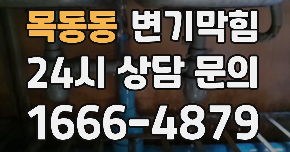 목동동 변기