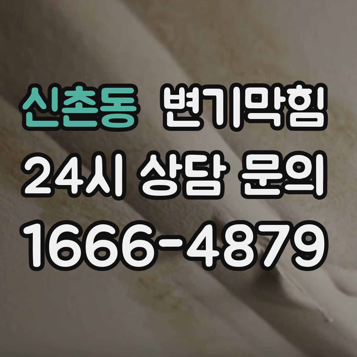 신촌동 변기막힘