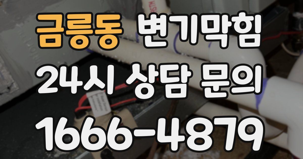 금릉동 변기