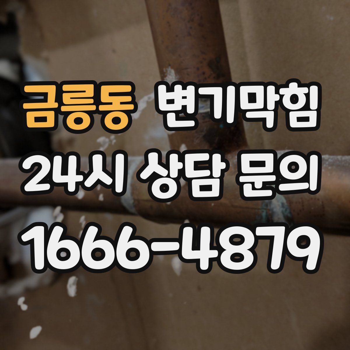 금릉동 변기막힘