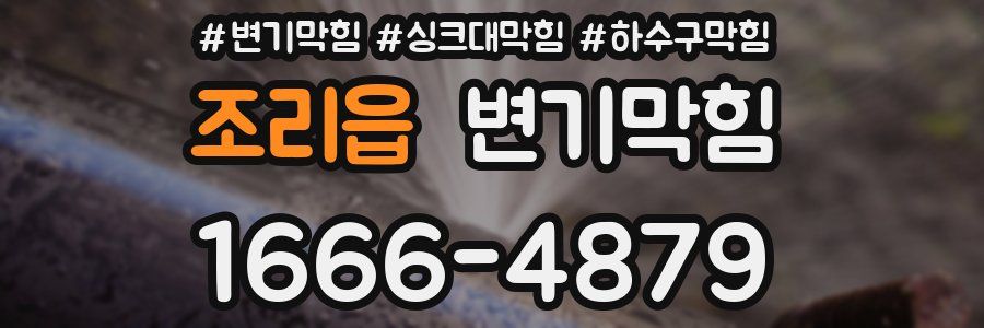 변기막힘