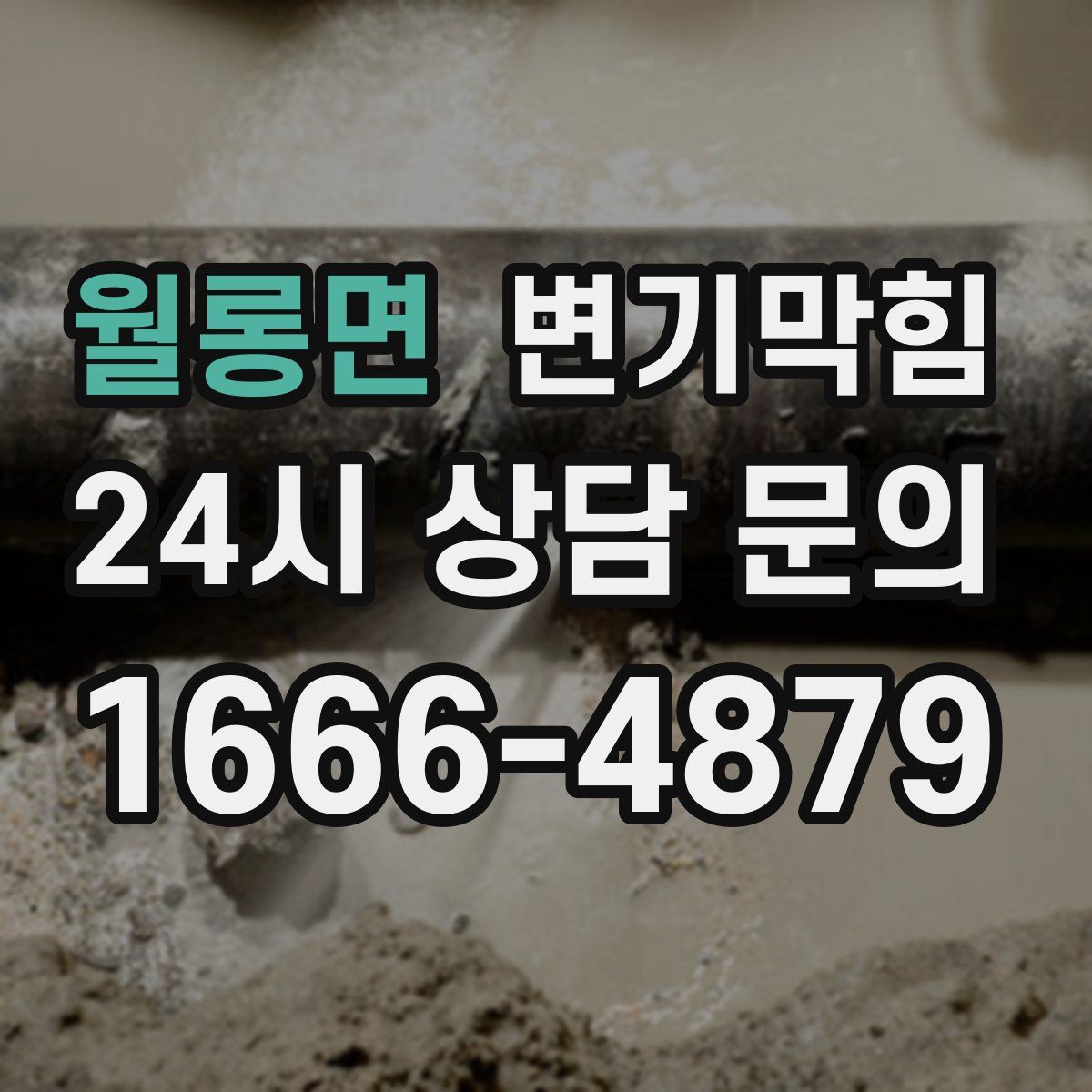 월롱면 변기막힘