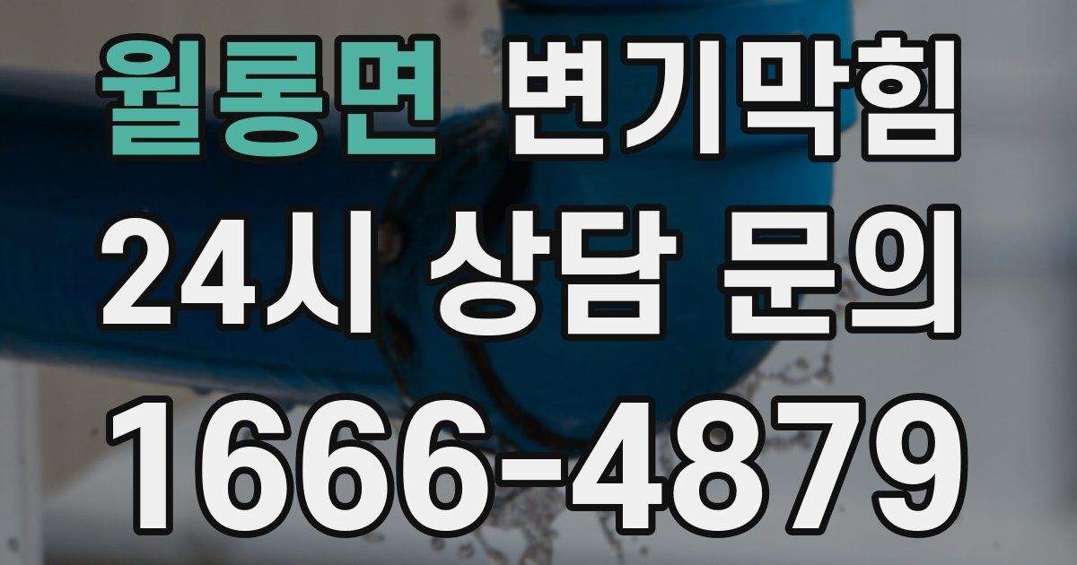 월롱면 변기