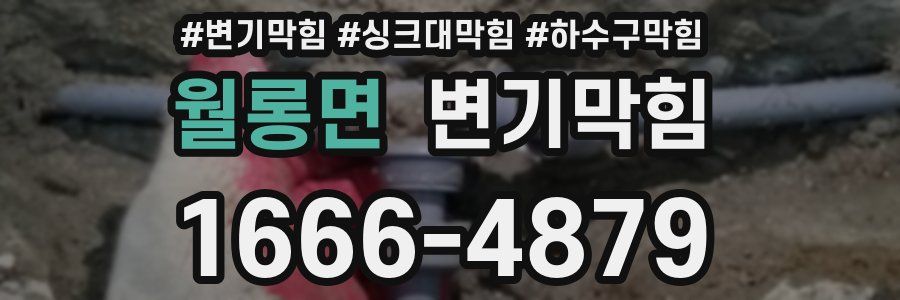 변기막힘
