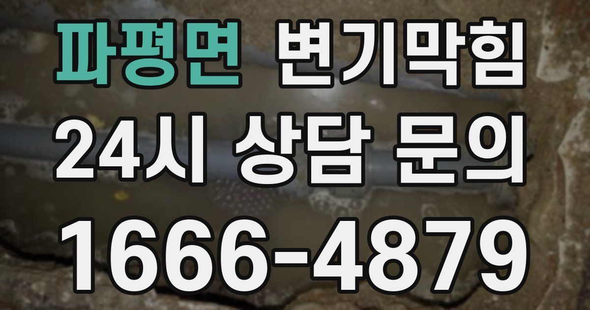 파평면 변기