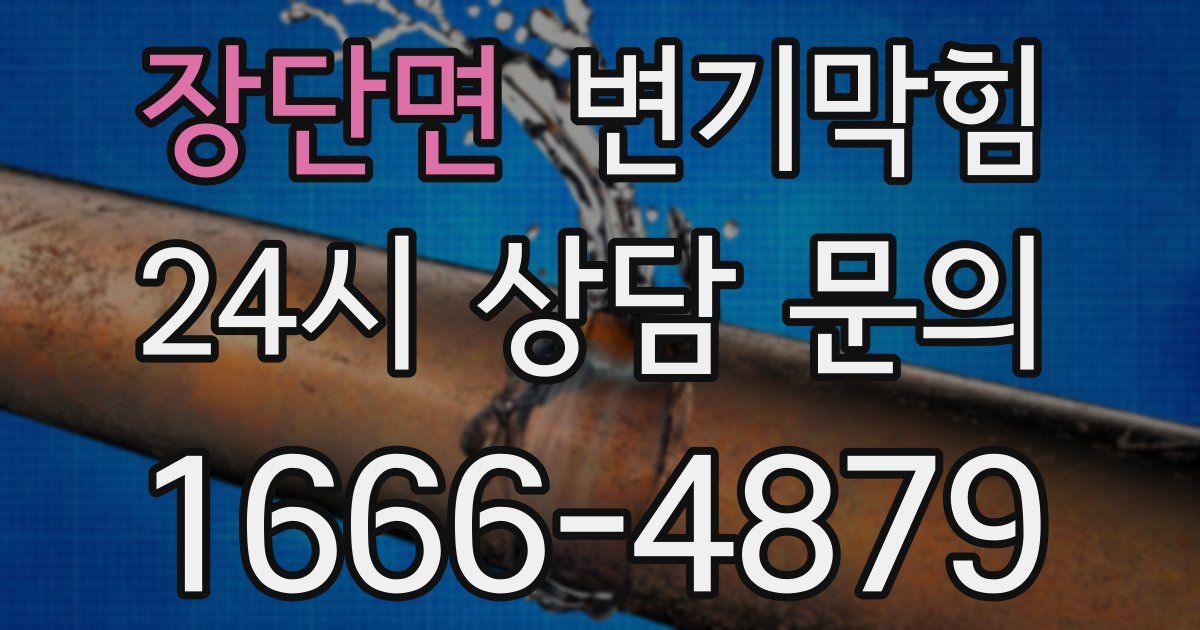 장단면 변기