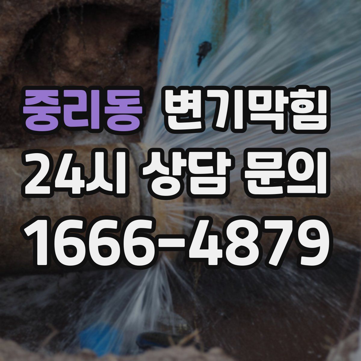 중리동 변기막힘