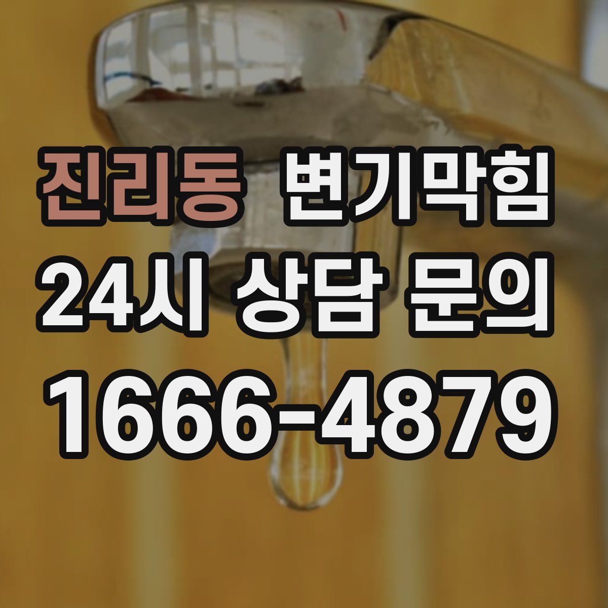 진리동 변기막힘