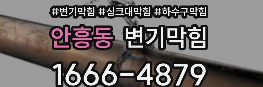 변기막힘