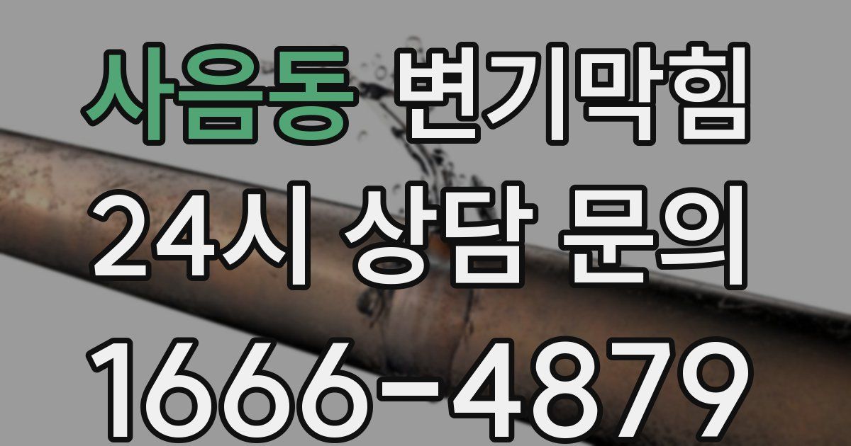 사음동 변기