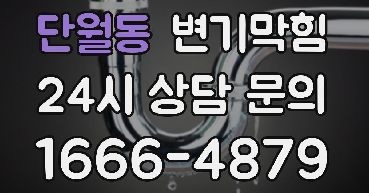 단월동 변기