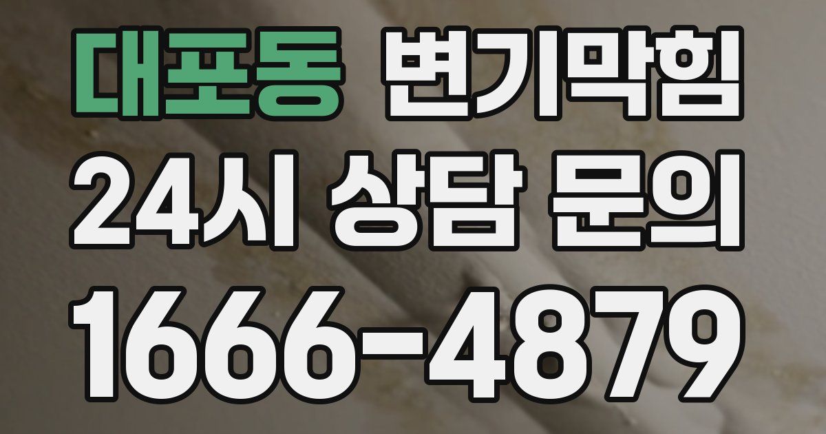 대포동 변기