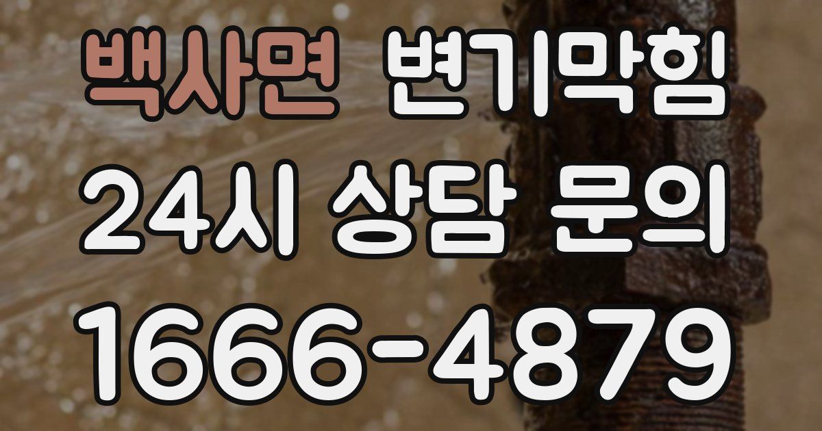 백사면 변기