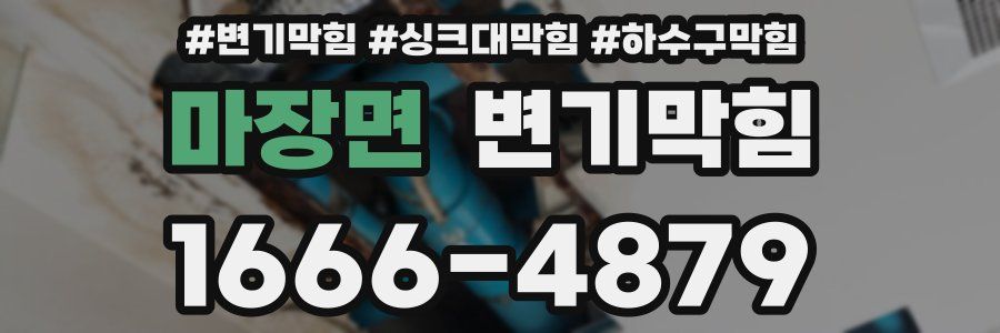 변기막힘