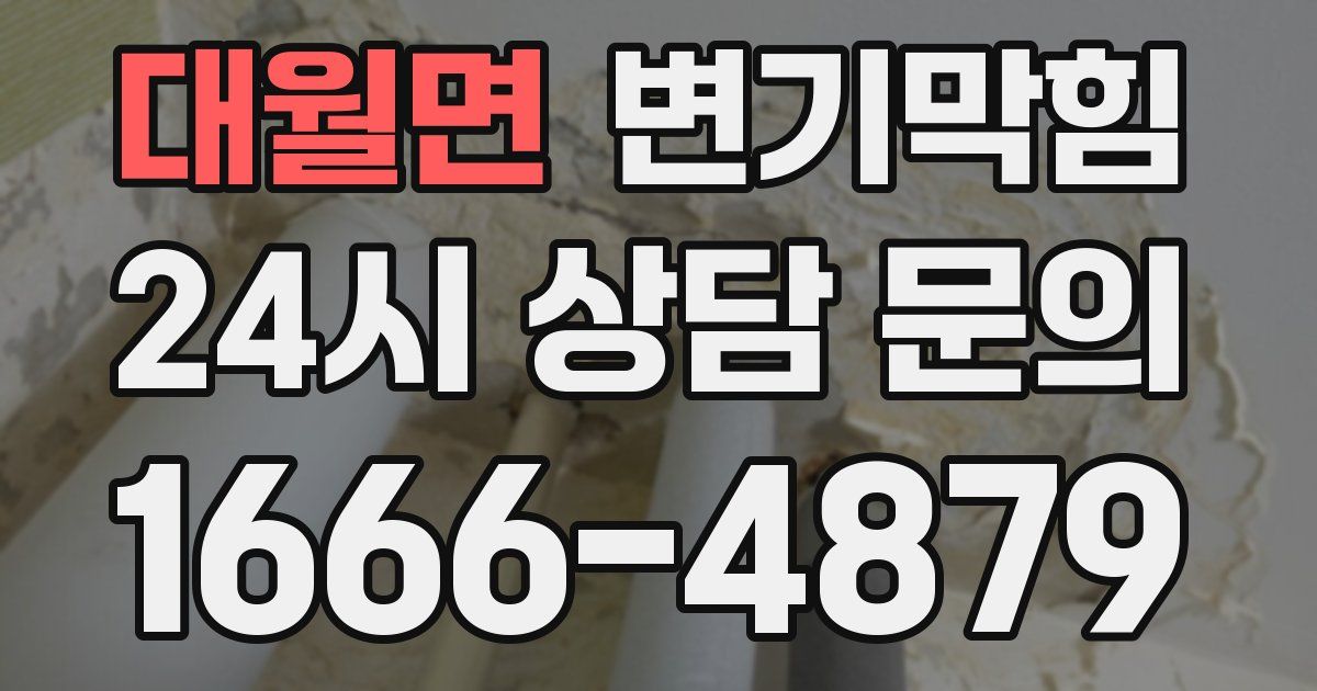 대월면 변기