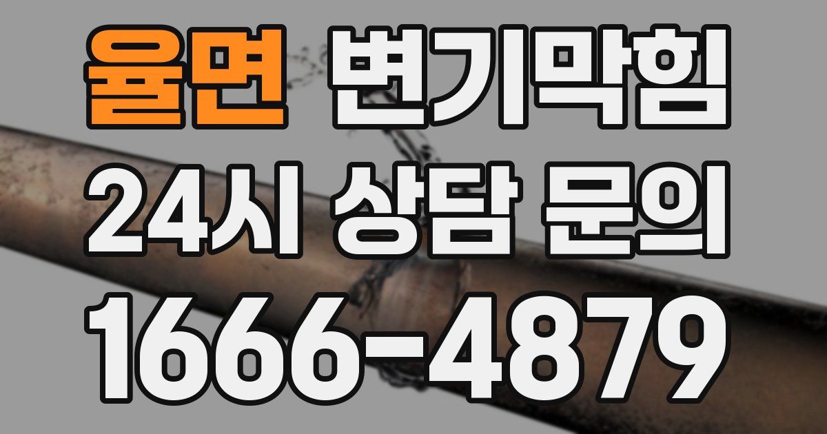 율면 변기