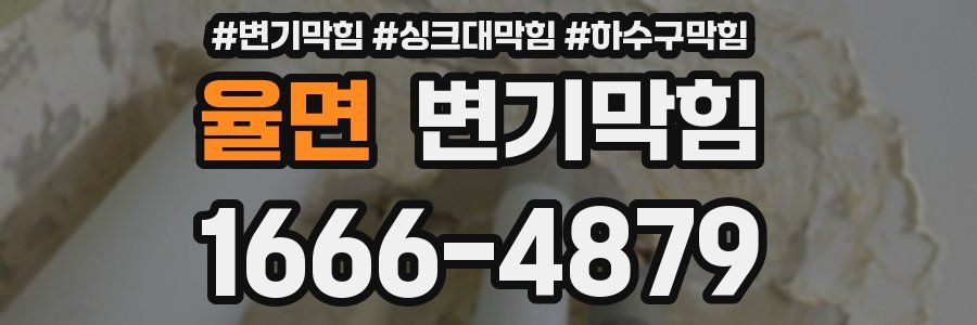 변기막힘